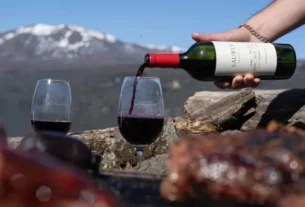 Vendimia Neuquina 2025: tres días con las mejores propuestas gastronómicas