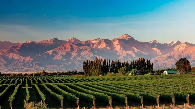 ¿Qué hacer el 25 de mayo en Mendoza?: una ciudad celebra la fiesta patriótica con música, vino y locro