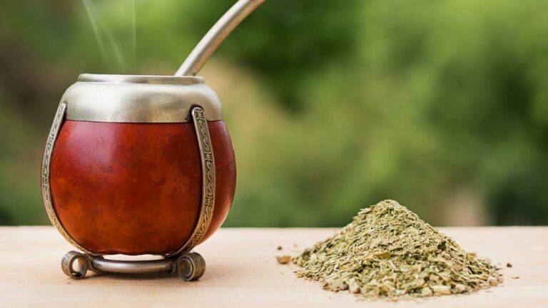 Argentina lanza la primera escuela dedicada exclusivamente al estudio de la yerba mate