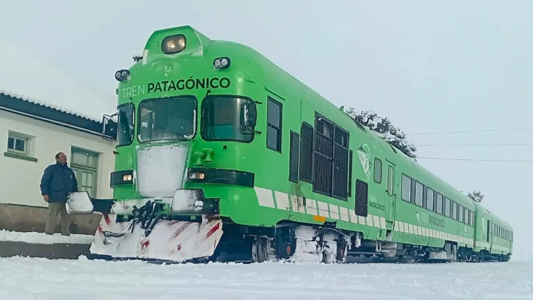 Nueva locomotora para el Tren Patagónico: 120 km/h de velocidad máxima, 3.000 HP y una inversión millonaria