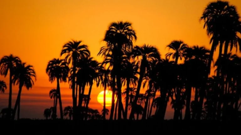 Ni las sierras ni la cordillera: dónde está el paisaje costero con el mejor atardecer para ver en invierno