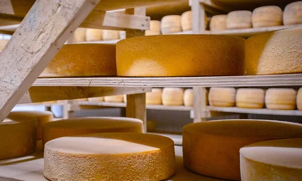 Dónde queda el pueblito serrano que celebra la mejor fiesta del queso artesanal de la Argentina