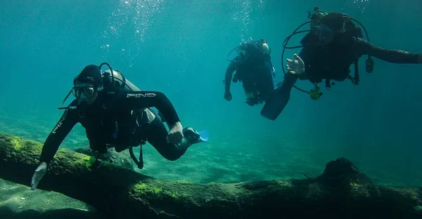 Dónde bucear en Argentina además de Puerto Madryn: destinos, niveles y experiencias imperdibles